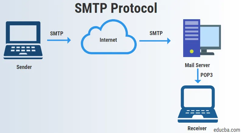 Giao thức mạng Network Protocol 169